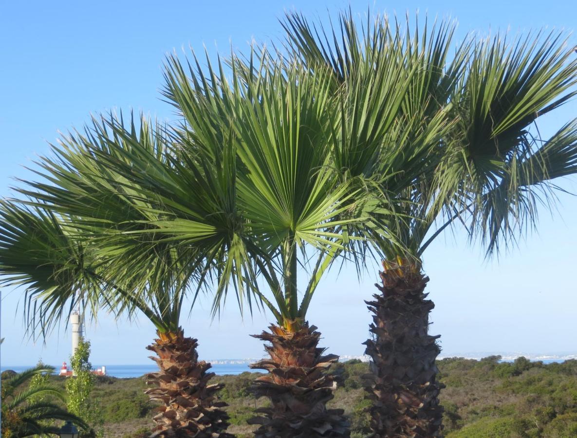 Three Palms Apartment 费拉古多 外观 照片