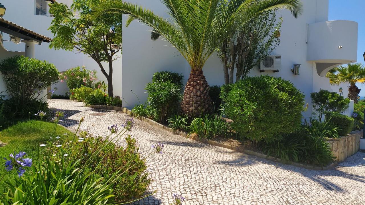 Three Palms Apartment 费拉古多 外观 照片